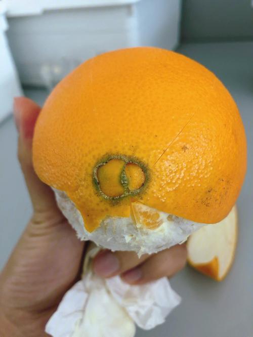 橙子怎么剥皮容易不用刀