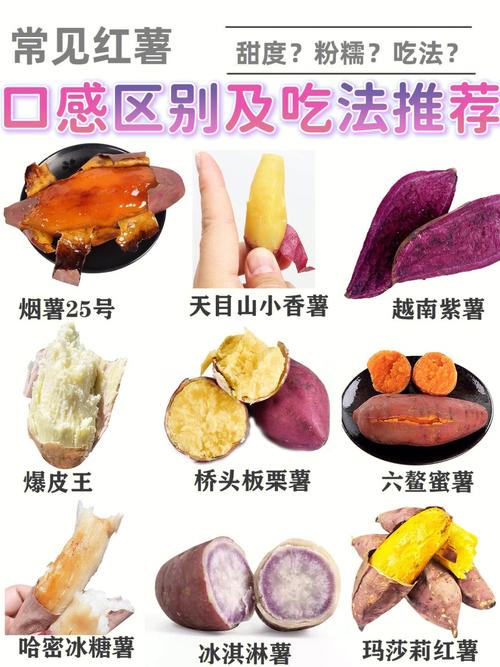 紫薯和红薯哪个更有营养