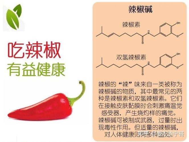 青椒的营养价值与功效