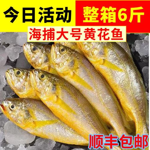 黄花鱼一斤多少钱市场